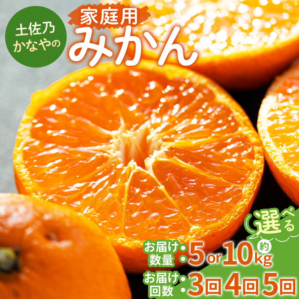 【ふるさと納税】【選べる定期便】土佐乃かなやの家庭用みかん(数量:各月5kg/10kg 定期便:3回/4回/5回) - 選べる 定期便 数量 国産 早生みかん 極早生みかん グリーンみかん 蜜柑 ミカン 柑橘 果物 くだもの フルーツ ご家庭用 ご自宅用 Benifare 高知県 香南市 【常温】|高知県香南市