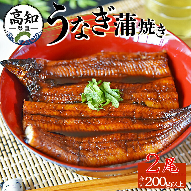 【ふるさと納税】【大人気!】高知県産うなぎ蒲焼き 2尾(合計200g以上) - お中元 国産 鰻 ウナギ 養殖 かばやき タレ付き たれ おつまみ スタミナ 土用の丑の日 父の日 unagi うな丼 うな重 どんぶり 一品 おかず 美味しい おいしい 高知県 香南市【冷凍】fb-0142|高知県香南市