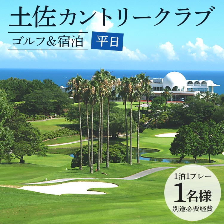 お中元・夏差し上げ物特集【高知県香南市 ふるさと納税】