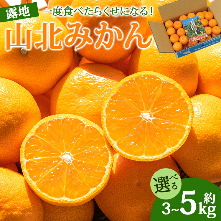 【ふるさと納税】【2025年発送分】【選べる】高知県産 山北みかん 約3kg／約5kg（露地栽培 2S～Lサイズ）一度食べたらくせになる！- 送料無料 果物 くだもの フルーツ ブランド 温州みかん ミカン 蜜柑 柑橘 甘い お取り寄せ 産地直送 特産品 高知県 香南市【常温】Rku-0037