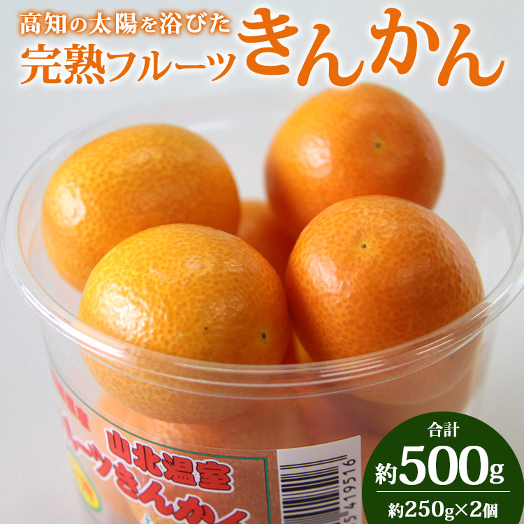 1500円 最大76％オフ！ 高知の太陽を浴びた完熟フルーツきんかん250g×2パックきんかん キンカン 金柑 フルーツ 柑橘 果物大好きのし対応可  期間限定 数量限定 A-190