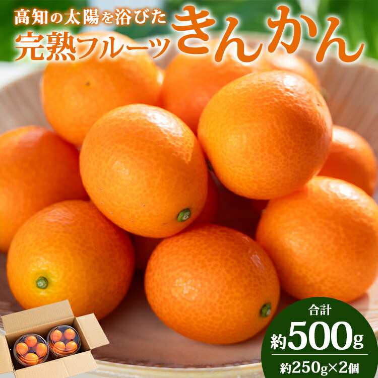 【ふるさと納税】高知の太陽を浴びた完熟フルーツきんかん 合計500g（250g×2パック）- 果物 フルーツ キンカン 金柑 柑橘 送料無料 のし対応可 期間限定 数量限定 高知県 香南市【常温】 ku-0048