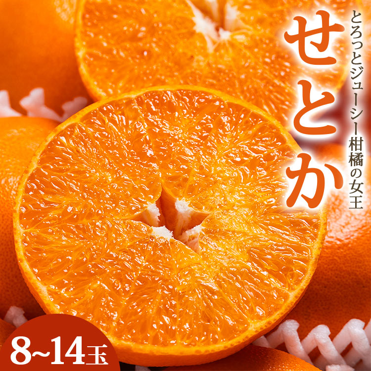 【ふるさと納税】【令和9年2月発送開始】とろっとジューシー せとか 約3kg（8～14玉）秀品・丸秀品混合 先行予約 数量限定 大容量 果物 果実 くだもの フルーツ ミカン 蜜柑 みかん 柑橘 期間限定 季節限定 熨斗 のし対応可 贈答 贈り物 プレゼント 高知県 香南市【常温】｜高知県香南市