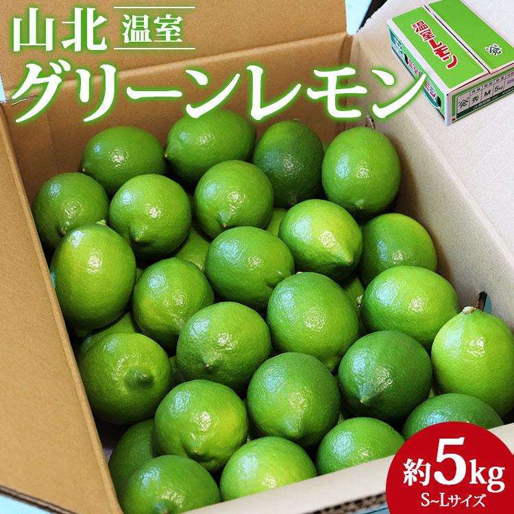 【ふるさと納税】先行予約受付【数量限定】高知県産 山北温室グリーンレモン 約5kg（S～Lサイズ）- 果物 くだもの フルーツ 柑橘 れもん 檸檬 令和7年度発送 2025年 レモン酎ハイ お酒 お菓子 料理 産地直送 送料無料 のし対応可 高知県 香南市【常温】ku-0035