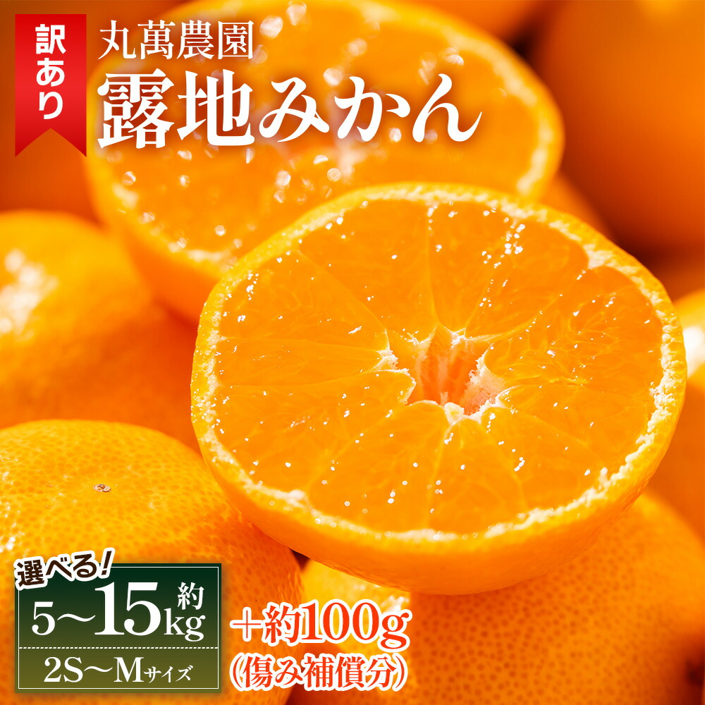 【ふるさと納税】【選べる内容量】【2025年出荷分】【訳あり】露地みかん(2S～Mサイズ) 約5kg/約10kg/約15kg ＋約100g (傷み補償分) - 果物 くだもの フルーツ 果実 柑橘 かんきつ 蜜柑 みかん ミカン 果汁 期間限定 訳アリ 家庭用 キズ 傷 丸萬農園 高知県 香南市【常温】