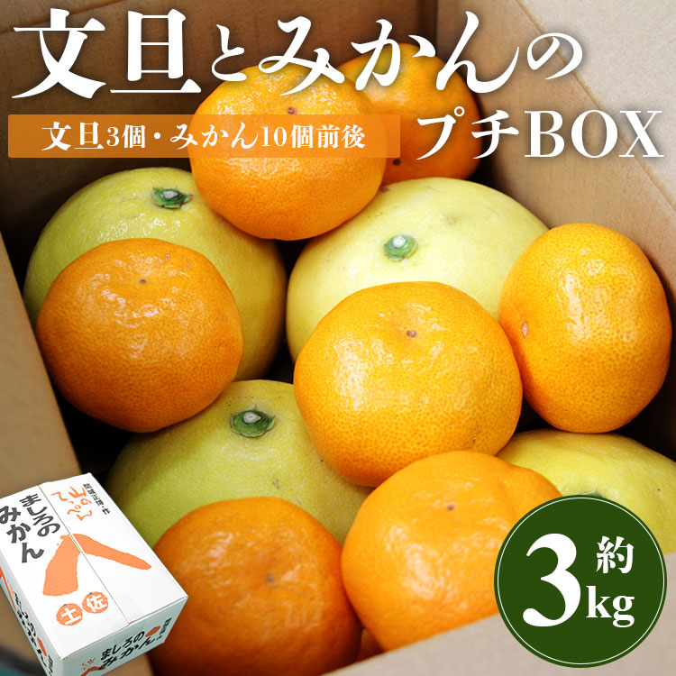 【ふるさと納税】【先行予約】文旦とみかんのプチBOX 約3kg - 果物 くだもの フルーツ 柑橘類 ぶんたん ブンタン ミカン 詰め合わせ つめあわせ セット 食べ比べ お楽しみ お試し おいしい 特産品 間城農園 高知県 香南市【常温】ms-0040