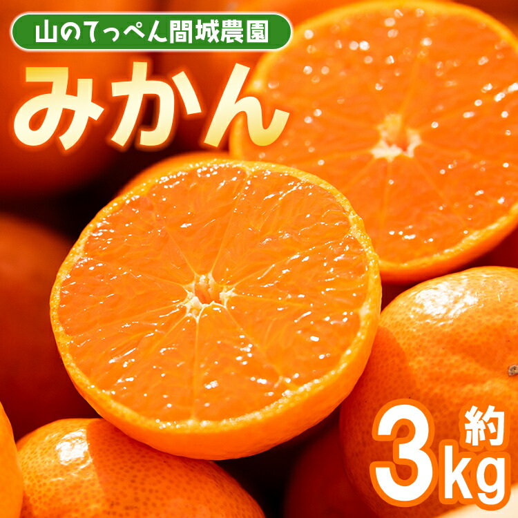 【ふるさと納税】【数量限定】山のてっぺん 間城農園 みかん 約3kg - 送料無料 温州みかん ミカン 蜜柑 フルーツ 柑橘 果物 くだもの 甘い あまい おいしい 期間限定 配送日指定不可 高知県 香南市【常温】ms-0045