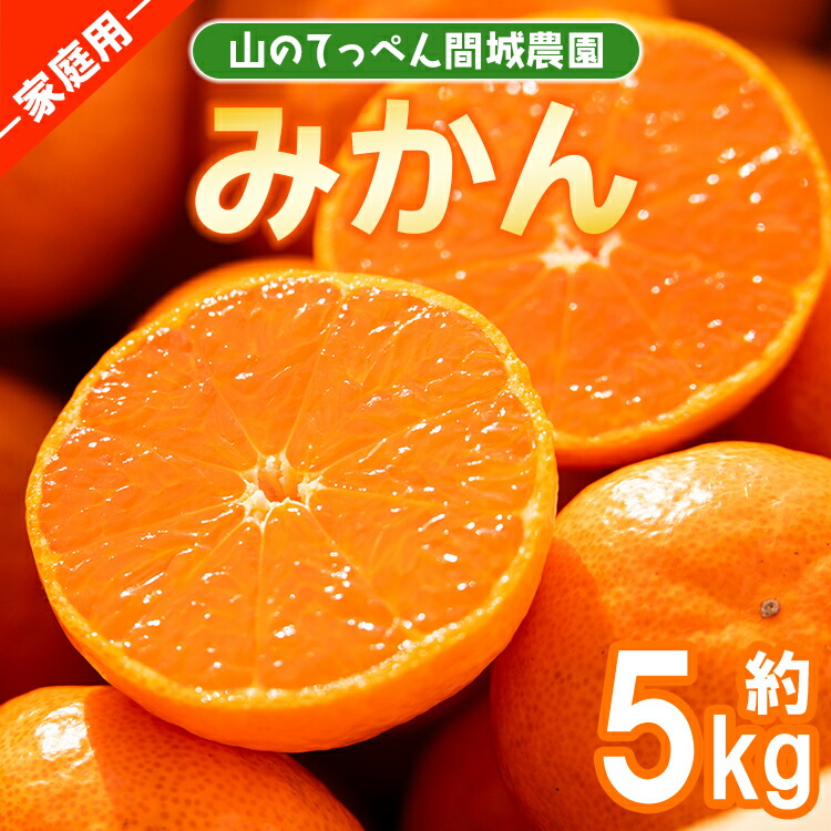 【ふるさと納税】山のてっぺん 間城農園 みかん (家庭用) 約5kg - 果物 くだもの フルーツ 柑橘 温州みかん ミカン 送料無料 数量限定 期間限定 高知県 香南市【常温】 ms-0074