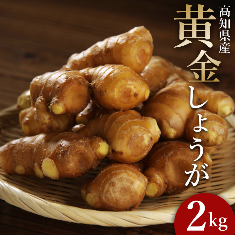 【ふるさと納税】生姜一筋70年の生姜老舗問屋 黄金しょうが 約2kg - 送料無料 生産量日本一 おかず お料理 のし対応不可料理 飲み物 高知県 香南市【冷蔵】 Xnb-0007
