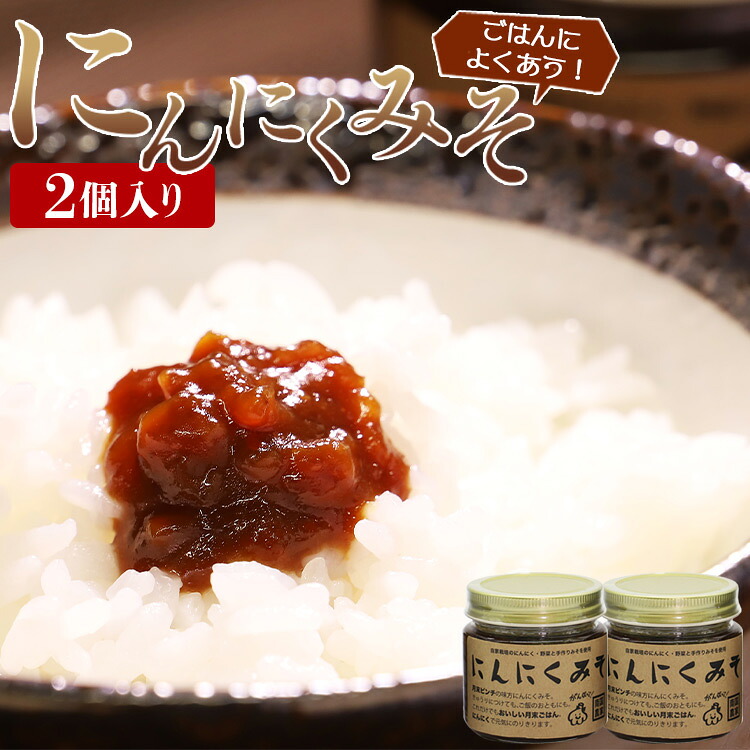 【ふるさと納税】南国農家 ごはんによくあう！にんにくみそ２個入り - 送料無料 のし対応可 朝食 晩御飯 トッピング 煮込み 隠し味 料理 調味料 特産品 ギフト 贈答 贈り物 高知県香南市【常温】 ng-0007