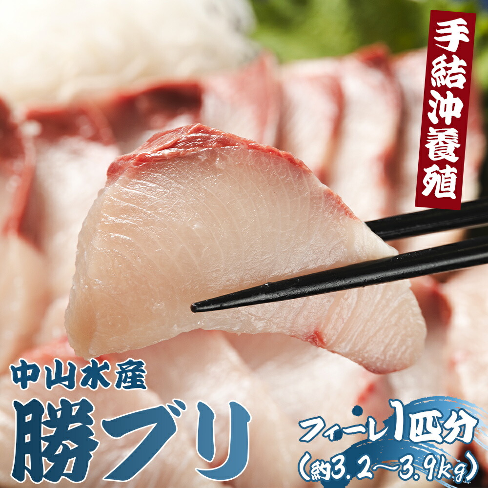 【ふるさと納税】手結沖養殖「勝ブリ」フィーレ 1匹分（約3.2kg～3.9kg）- 期間限定 魚 ぶり 鰤 寒ブリ 海鮮 鮮魚 魚介類 切り身 海の幸 ギフト お刺身 煮物 焼き魚 おかず 産地直送 のし対応可 送料無料 高知県 香南市 しゃぶしゃぶ 半身【冷蔵】ny-0011