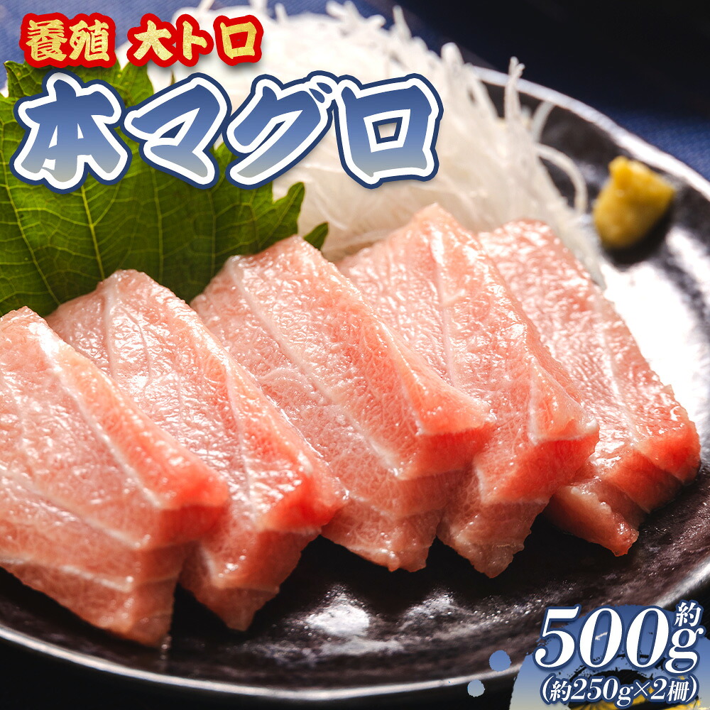 【ふるさと納税】本マグロ 養殖 大トロ 計約500g（250g×2柵）- 鮪 まぐろ 大とろ 寿司 刺身 さしみ 海鮮丼 漬け丼 カルパッチョ おつまみ 新鮮 海産物 魚介 海の幸 オオジ 高知県 香南市【冷凍】