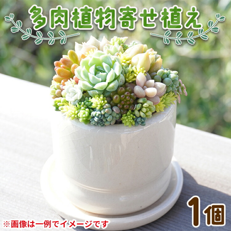 お中元・夏差し上げ物特集【高知県香南市 ふるさと納税】