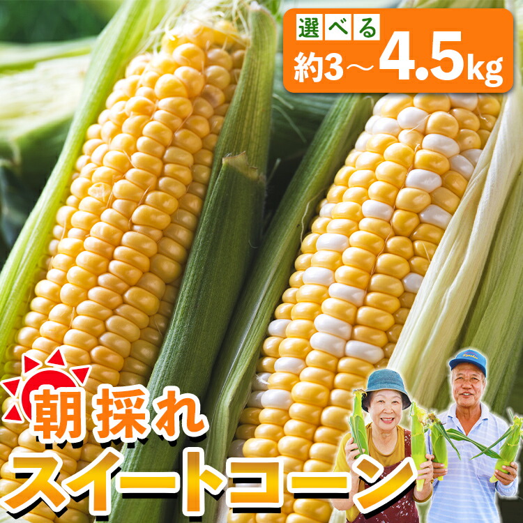 【ふるさと納税】【選べる】先行予約受付中！朝採れスイートコーン 約3kg/約4.5kg - 野菜 とうもろこし とうきび トウキビ BBQ キャンプ 旬 おやつ 特産品 数量限定 季節限定 期間限定 のし対応可 送料無料 2024年発送 5月下旬～7月頃順次発送予定 高知県 香南市【冷蔵】