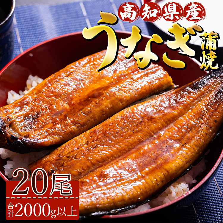 【ふるさと納税】 高知県産養殖うなぎ蒲焼 20尾(合計2000g以上) - 国産 土用の丑の日 鰻 ウナギ 蒲焼き かば焼き かばやき うな丼 うな重 ギフト お礼 御礼 感謝 贈答 贈り物 送料無料 須崎市道の駅 高知県 香南市【冷凍】ss-0042