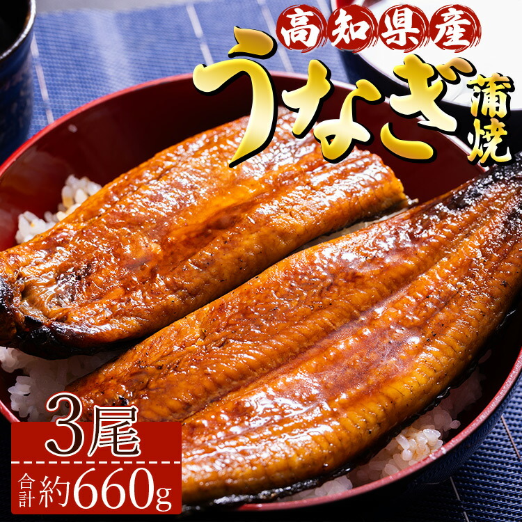 【ふるさと納税】高知県産養殖うなぎ蒲焼き 3尾(合計約660g) - タレ付き 国産 丑の日 鰻 ウナギ かばやき 蒲焼き うな丼 うな重 送料無料 ギフト お礼 御礼 感謝 贈答 贈り物 須崎市道の駅 高知県 香南市【冷凍】ss-0035