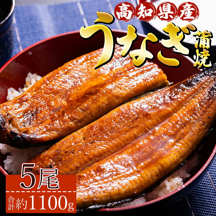 【ふるさと納税】高知県産養殖うなぎ蒲焼 5尾(合計約1100g) - タレ付き 国産 丑の日 鰻 ウナギ かばやき 蒲焼き うな丼 うな重 送料無料 須崎市道の駅 ギフト お礼 御礼 感謝 贈答 贈り物 高知県 香南市【冷凍】ss-0036