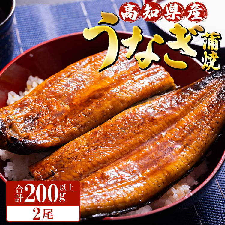【ふるさと納税】高知県産養殖うなぎ蒲焼 100～120g 2尾セット(合計200g以上) - 土用の丑の日 国産 鰻 ウナギ かばやき 蒲焼き うな丼 うな重 贈り物 ギフト お礼 御礼 感謝 タレ付き 須崎市道の駅 高知県 香南市【冷凍】ss-0044