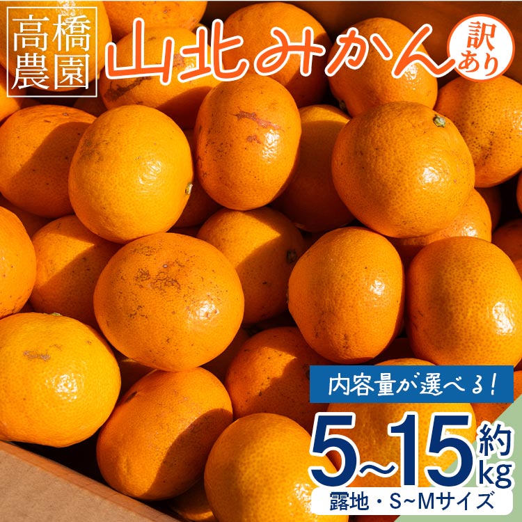 【ふるさと納税】【内容量が選べる】家庭用 山北みかん（露地・S～Mサイズ）約5kg/約10kg/約15kg - 送料無料 露地栽培 柑橘 果物 フルーツ ミカン 蜜柑 期間限定 季節限定 家庭用 高橋農園 国産 特産品 高知県 香南市【常温】Rth-0013
