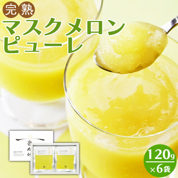 【ふるさと納税】完熟マスクメロンピューレ 120g×6袋 - テレビ「めざましどようび キクエがキクヨ！」で紹介 JALファーストクラス機内食に採用 果物 くだもの フルーツ めろん 果汁100％ まるごと アイス シャーベット デザート スイーツ 篤農 高知県 香南市【冷凍】tn-0007