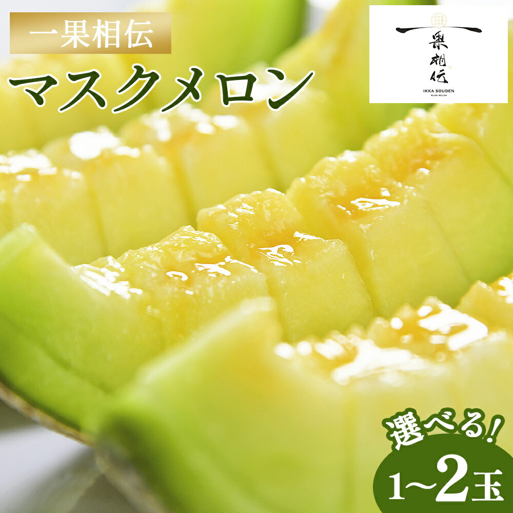 【ふるさと納税】【14日程度で発送】【期間限定】一果相伝 マスクメロン 1玉入り/2玉入り - スピード発送 選べる 個数 送料無料 めろん 青肉 果物 くだもの フルーツ 贈答用 贈答品 贈り物 ギフト お礼 御礼 感謝 お祝い 御祝い  産地直送 新鮮 篤農 高知県 香南市【常温】