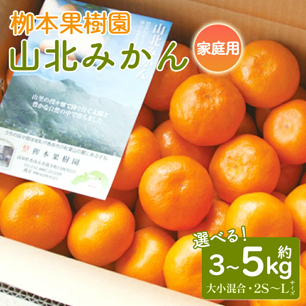 【ふるさと納税】【選べる内容量】【先行予約】山北みかん 家庭用 約3kg／約5kg（大小混合 2S～Lサイズ）- 果物 フルーツ 柑橘類 温州みかん ミカン 蜜柑 甘い おいしい 訳あり キズ 送料無料 冬 期間限定 季節限定 数量限定 柳本果樹園 高知県 香南市【常温】