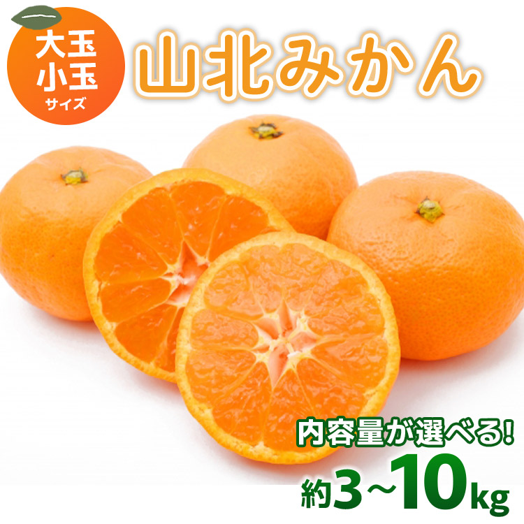 【ふるさと納税】【選べる内容量】山北みかん（小玉/大玉サイズ）約3kg/約5kg/約10kg - 果物 フルーツ 柑橘類 温州みかん ミカン 蜜柑 甘い おいしい 美味しい 山北みらい 高知県 香南市【常温】 Ryk-0034
