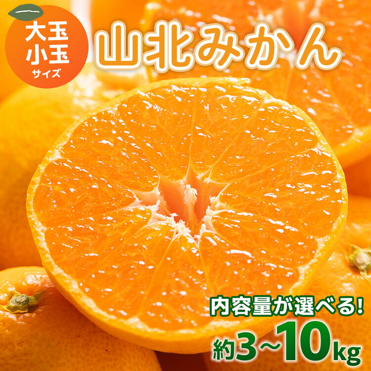 k31⭐️八重山上布⭐️超豪華トールサイズ身丈165cm苧麻オレンジ単衣広襟⭐️未使用 楽天市場】【ふるさと納税】【数量限定】土佐乃かなや マルチ 献上