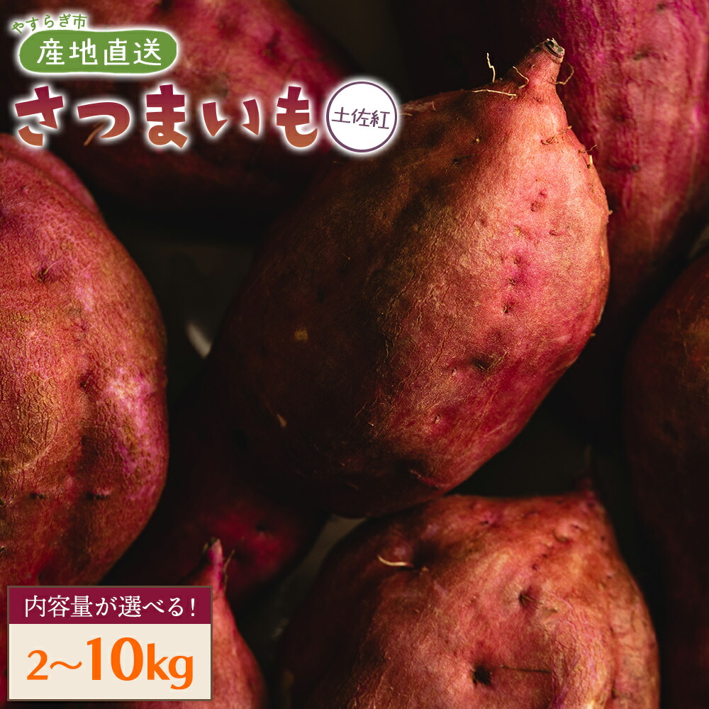 【ふるさと納税】【2025年出荷分】【選べる】さつまいも（土佐紅）約2kg／3kg／4kg／5kg／10kg - サツマイモ さつま芋 野菜 焼き芋 やきいも 焼いも おやつ スイーツ スイートポテト バター焼き アレンジ 料理 国産 高知県 香南市【常温】Ryr-0047