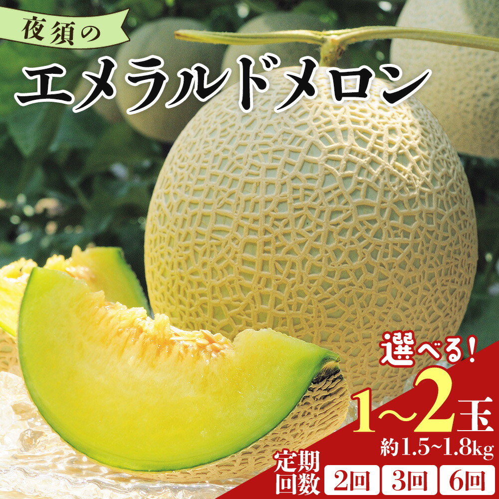 【ふるさと納税】【発送開始】【選べる】夜須のエメラルドメロン (数量1玉/2玉) (定期便 2/3/6回) - テレビ朝日「ザワつく!金曜日」で特集 お中元 夏ギフト 紹介 くだもの フルーツ ギフト マスクメロン 青肉 ギフト 贈答用 高級 2個 ケーキに 産地直送 糖度 JA高知県 香南市｜高知県香南市
