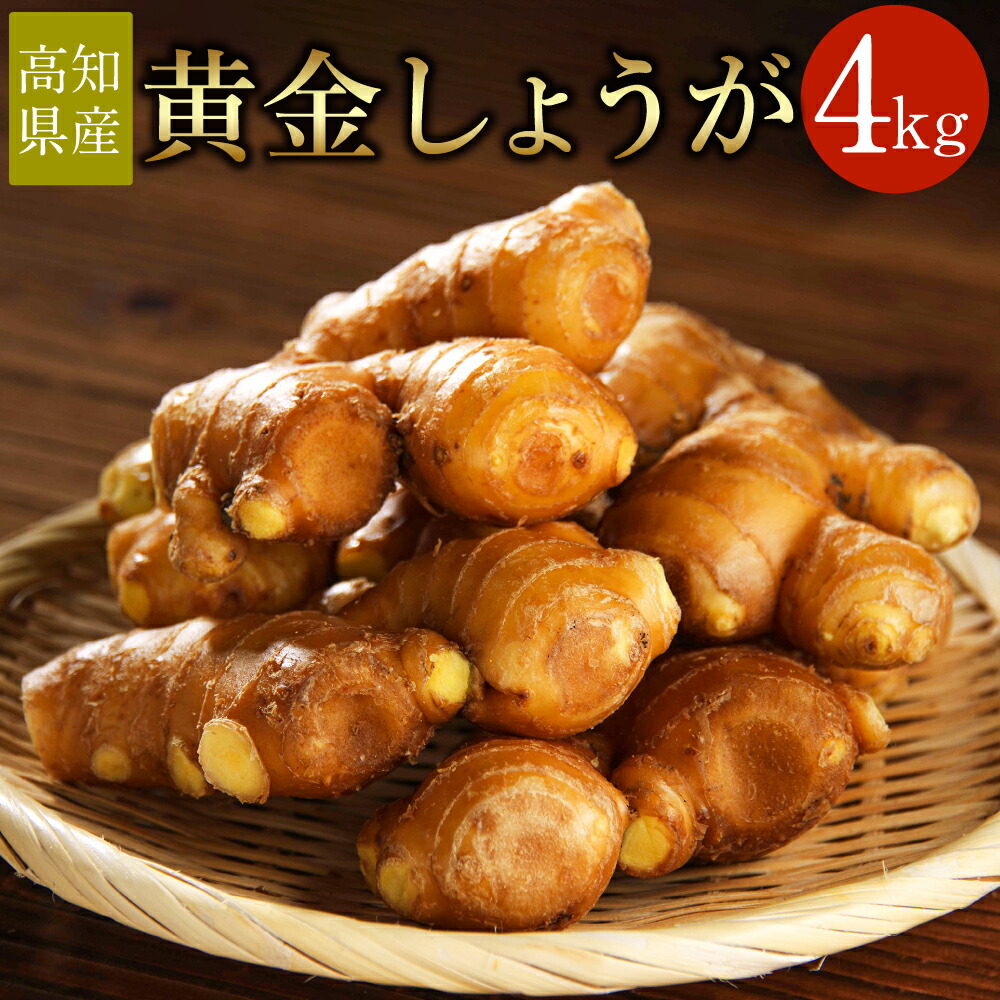 【ふるさと納税】【高知県産】黄金しょうが 4kg 生姜 野菜 特産品 香美市 高知県 送料無料
