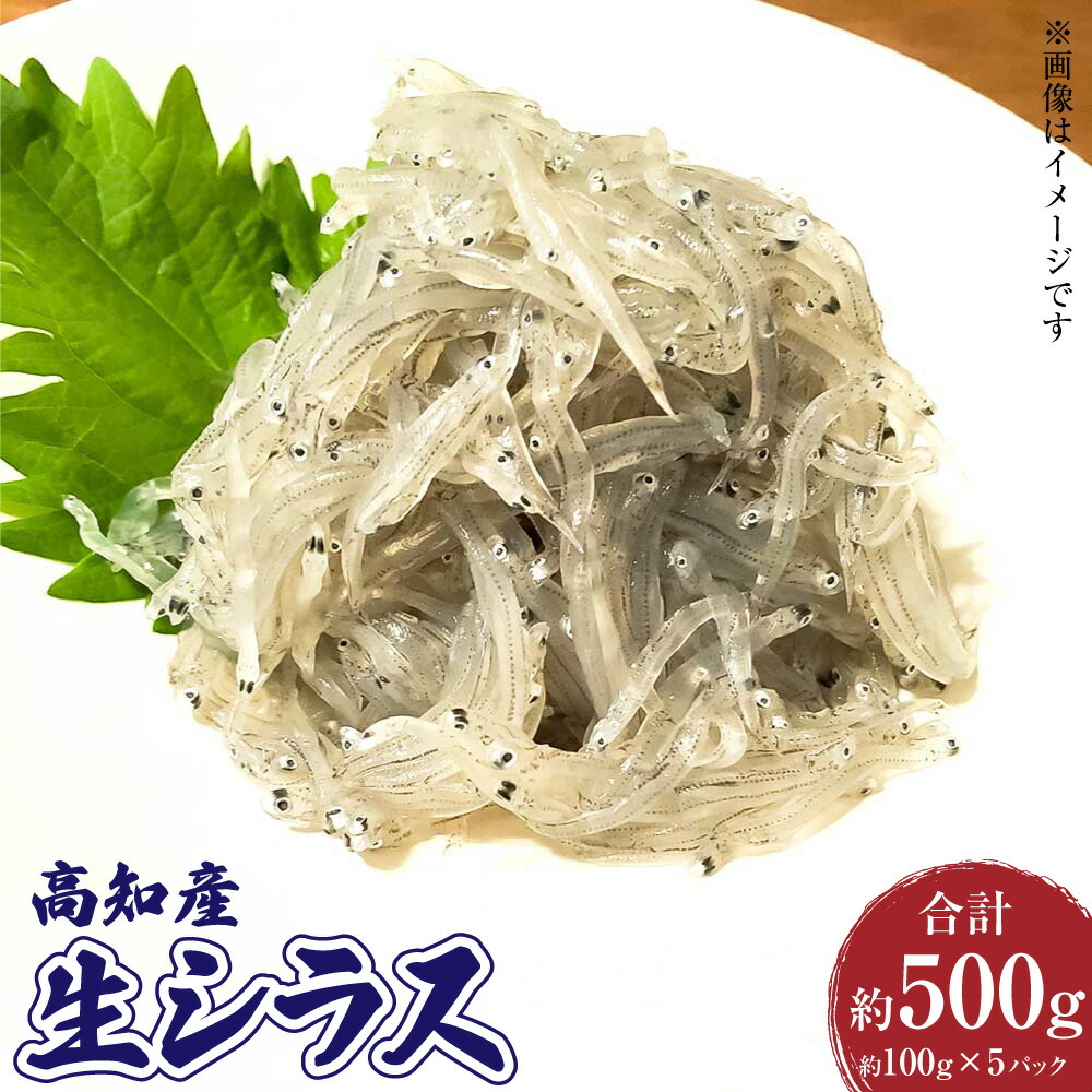 【ふるさと納税】高知産「生シラス」イワシ稚魚 約100gx5パック（タレ付）どろめ 生しらす刺し身 産地直送 高知県 香美市 送料無料