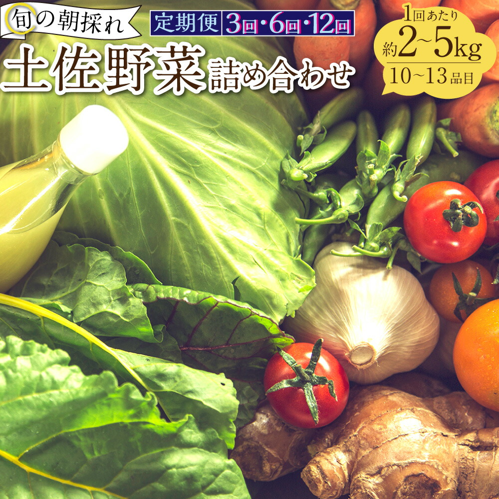 【ふるさと納税】＜選べる定期便＞旬の朝採れ土佐野菜詰め合わせ 1回（10～13品目）3回 6回 12回 野菜 お野菜 旬 季節の野菜セット 新鮮 安心安全 産地直送 詰め合わせ やさい 自然 自然派 お取り寄せ 高知県 香美市 送料無料