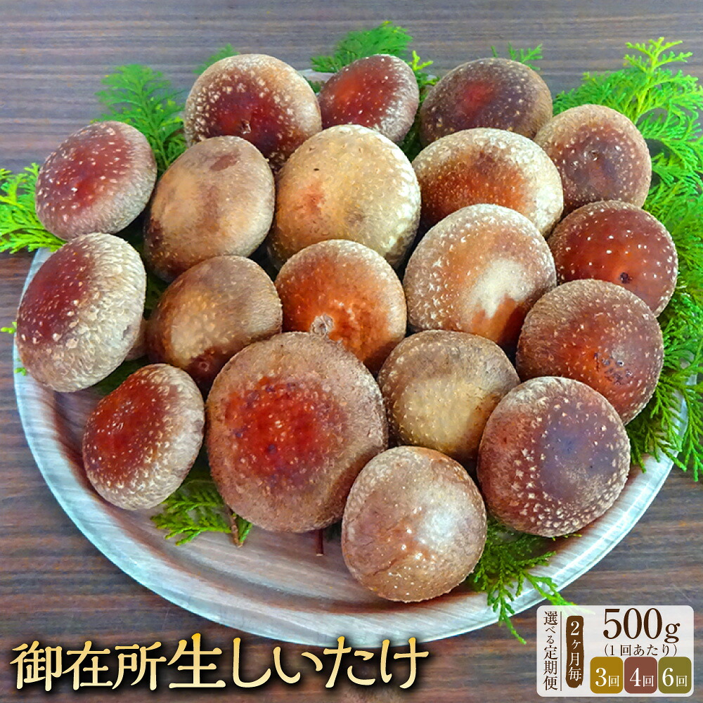 【ふるさと納税】<選べる定期便>【2ヶ月毎】【3回・4回・6回定期便】御在所肉厚生しいたけ 1回あたり 約500g 椎茸 シイタケ きのこ キノコ 茸 野菜 冷蔵 高知県 香美市 送料無料|高知県香美市