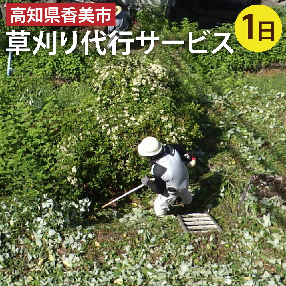 【ふるさと納税】【事前見積】高知県香美市草刈り代行サービス 1日 見積 見積もり 香美市内 草刈 草刈り くさかり 草刈り作業 地域密着 庭 空き家 土地 空き地 空地 宅地 親孝行 お助け 代行 サービス 安心サービス 代行サービス 高知県 香美市