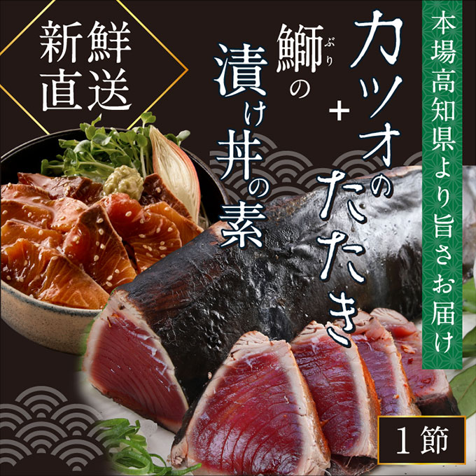 ふるさと納税 本場高知の味 お試し 訳ありカツオのたたき 1節と鰤の漬け丼の素 1p 人気 わけあり かつお タタキ 土佐 ぶり 丼 高知県 高知市共通返礼品 高知県香美市 あれから10年 免許の更新を認めない Diasaonline Com