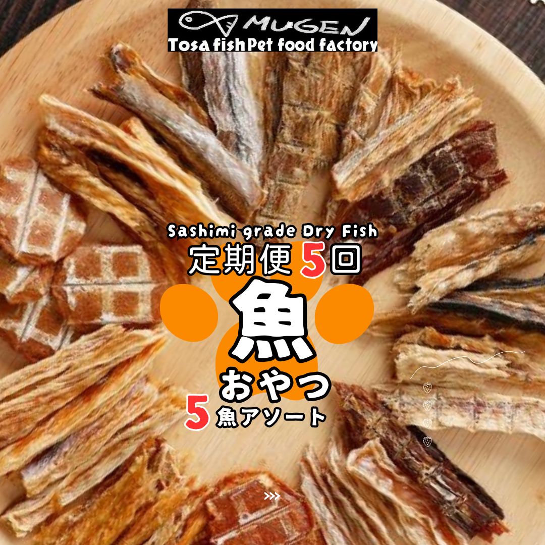 【ふるさと納税】M197【定期便5回】【お魚100％・完膚なきまで無加えることお兄ちゃん】手作り愛玩動物ボンネット書き割り(1魚種20～25g×5袋×月1回) 5回分 かつお まぐろ ジャー手当たり 突っ支い棒 チップス アレルギー反応打つ手 犬用猫用 加えること 年がしら お坊っちゃん 幼犬 幼猫 ファスナー付き添い人小袋 貨物輸送無料