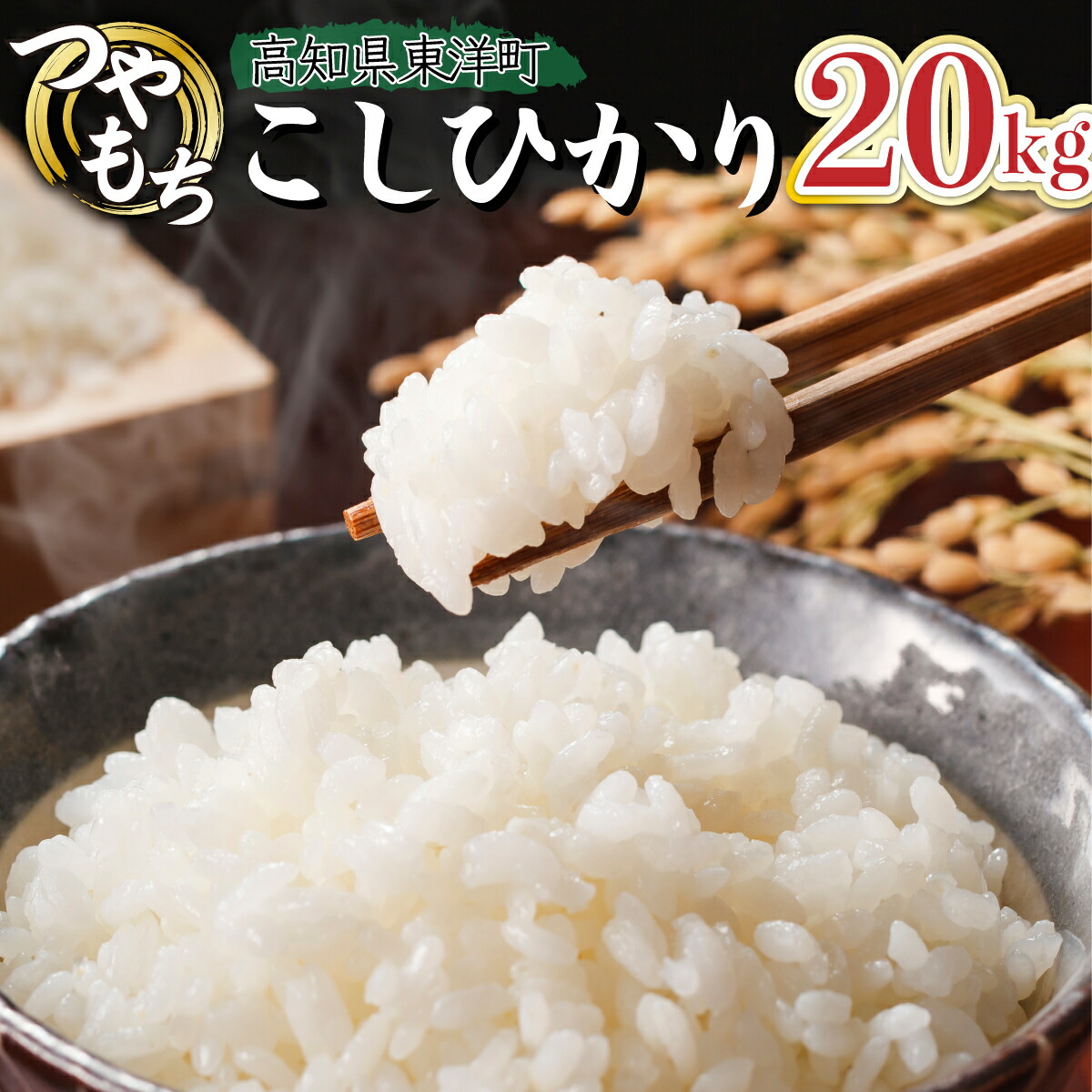【ふるさと納税】令和7年産コシヒカリ 20kg【S248】東洋町産 国産 米 白米 精米 コメ こめ もっちり 四国 お取り寄せ 家庭用 自宅用 贈り物  ギフト送料無料