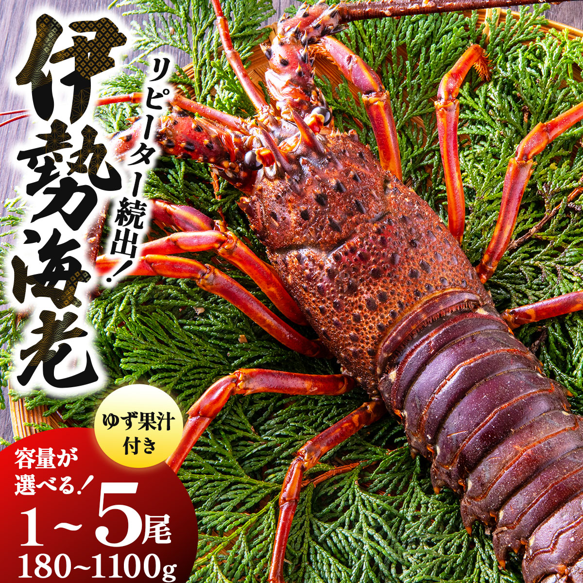 【ふるさと納税】＜選べる容量＞リピーター続出！伊勢海老 180g～1100g｜国産 東洋町産 天然 新鮮 海鮮 ゆず果汁付き 刺身 焼き ボイル 四国 お取り寄せ お祝い 記念日 贈り物 送料無料｜高知県東洋町