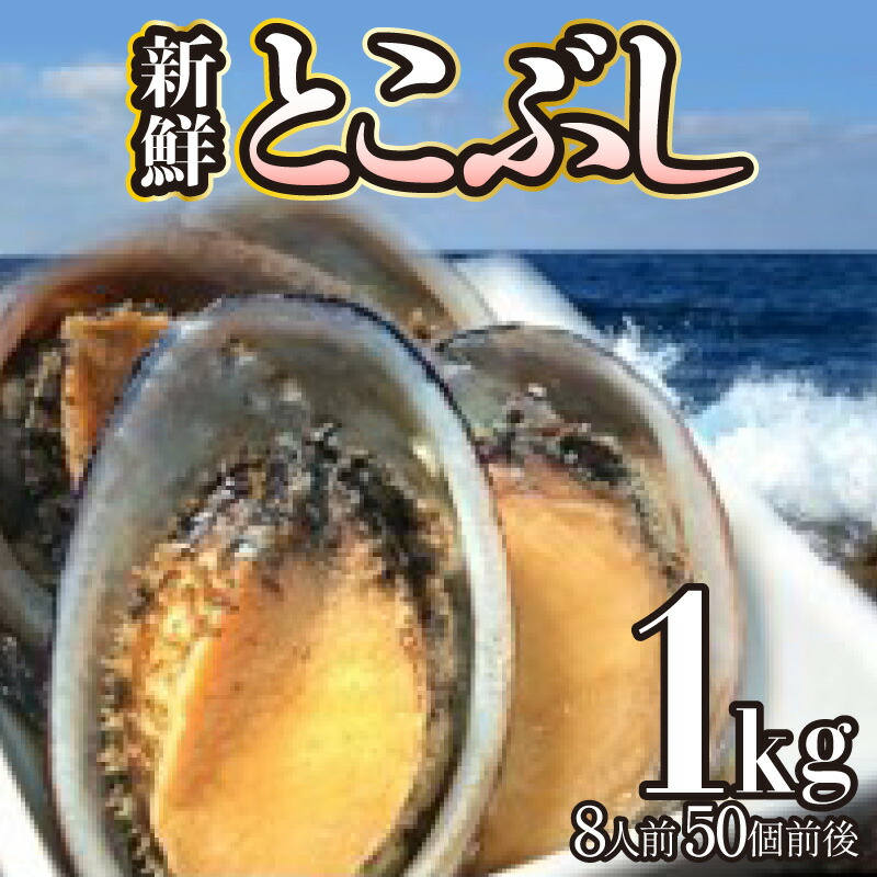 吉川正道　青白磁　器　皿　 Masamichi Yoshikawa 食器 吉川正道 青白磁 器 皿 Masamichi Yoshikawa 食器 Yoshikawa