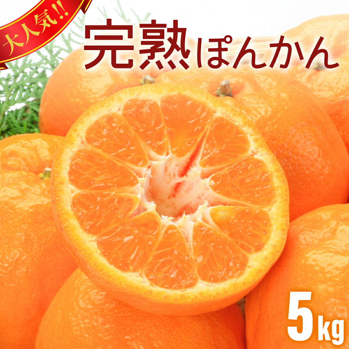 F109 完熟ぽんかん 5kg 国産 東洋町産 オレンジ 果物 フルーツ 完熟 甘い 酸味 ジューシー 高知県 四国 お取り寄せ 家庭用 自宅用 贈り物 ギフト 送料無料 以上節約