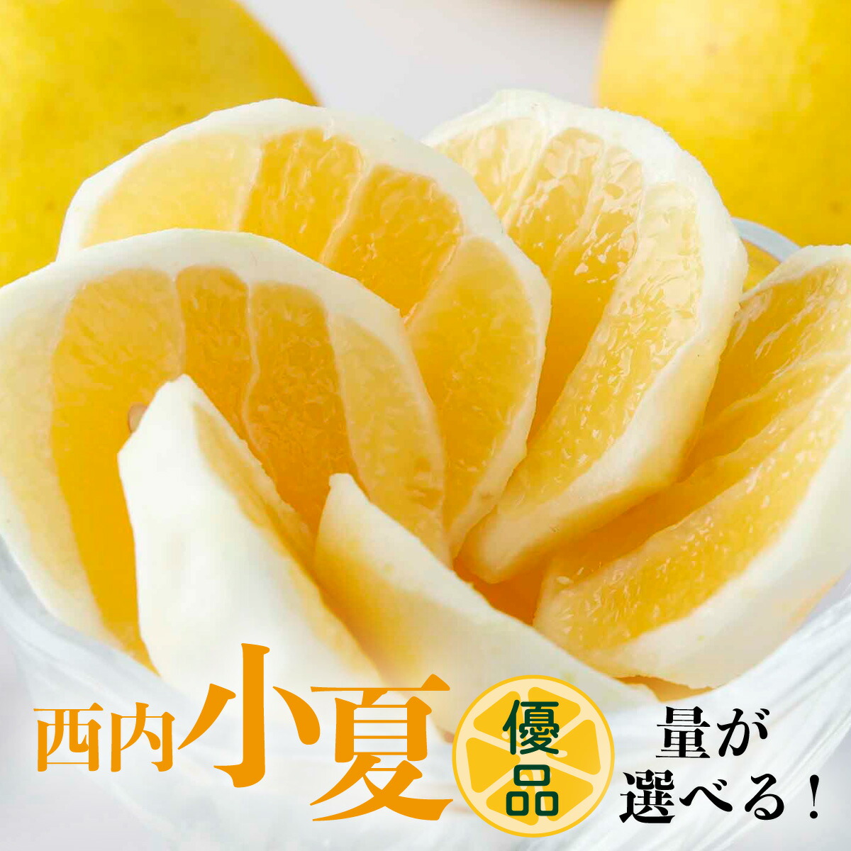 【ふるさと納税】＜先行予約＞ 量が選べる 【優品】西内小夏　2･5･10kg 日向夏 ニューサマーオレンジ ジューシー 果肉 高知県 四国 お取り寄せ NU-04-06