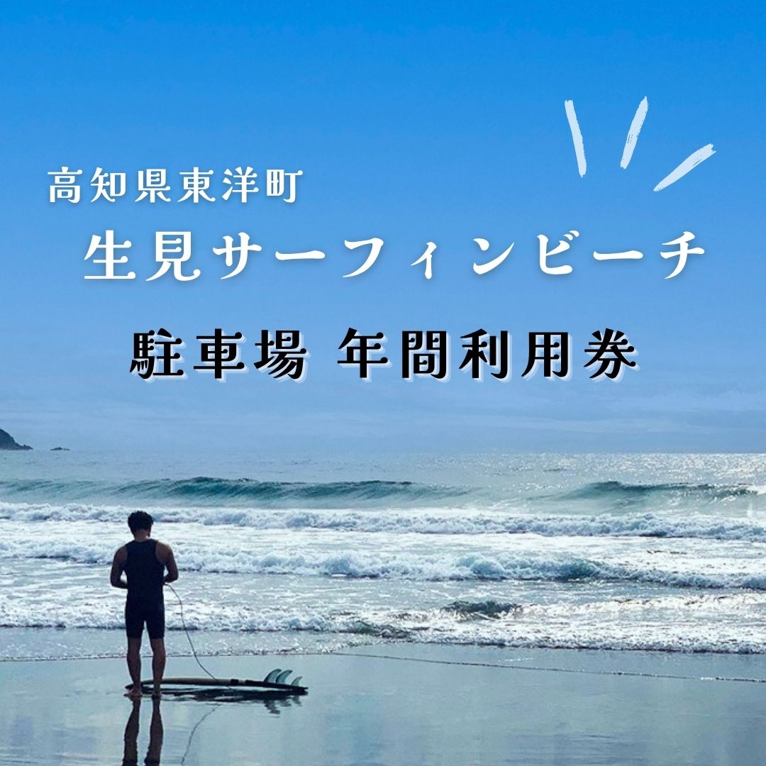 【ふるさと納税】LS001 パーキング場年歳当て嵌める券 高知県オリエント町生見波乗り砂浜 温水鋳貨シャワー完全無欠さ 海峡当て嵌める能力のある