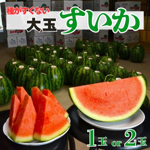 【ふるさと納税】山中農園のスイカ (1玉or2玉) 種が少ない1玉 2玉 フルーツ 産地直送 完熟 糖度 リピーター率高い 甘い 大玉 西瓜 すいか/高知県 奈半利町|高知県奈半利町