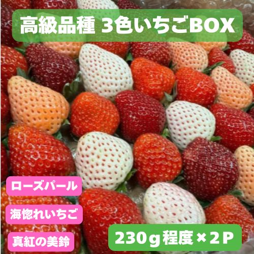 【ふるさと納税】　高級品種3色いちごBOX