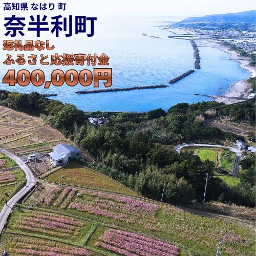 【ふるさと納税】999999-7【応援寄附金】高知県奈半利町 1口 40万円 返礼品なしのご寄附　【奈半利町役場】