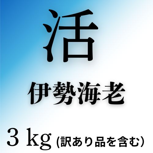 【ふるさと納税】活　伊勢海老３kg（訳あり品含む）