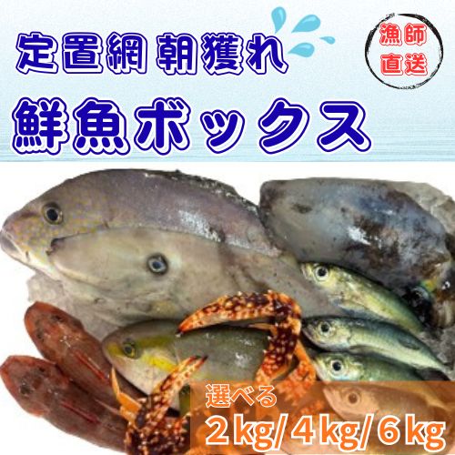 【ふるさと納税】定置網朝どれ鮮魚ボックス|高知県奈半利町