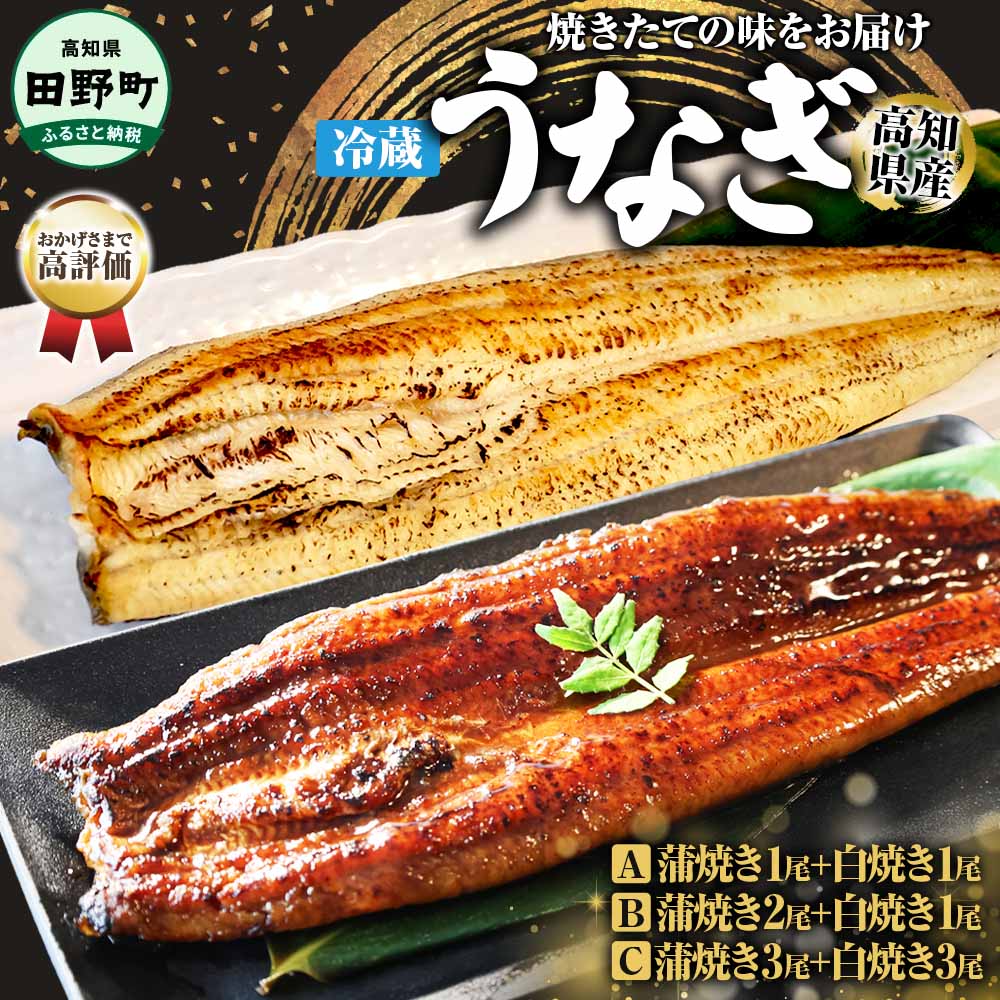 【ふるさと納税】鰻 ウナギ ヤマシン特選うなぎの蒲焼き 1～3尾 白焼き 1・3尾 特製タレ付き うなぎ 鰻 ウナギ 国産 高知県産 蒲焼 かばやき 白焼き 特製タレ 冷蔵 配送 真空パック 高知 ふるさとのうぜい 故郷納税 15000円から 鰻ふるさと納税