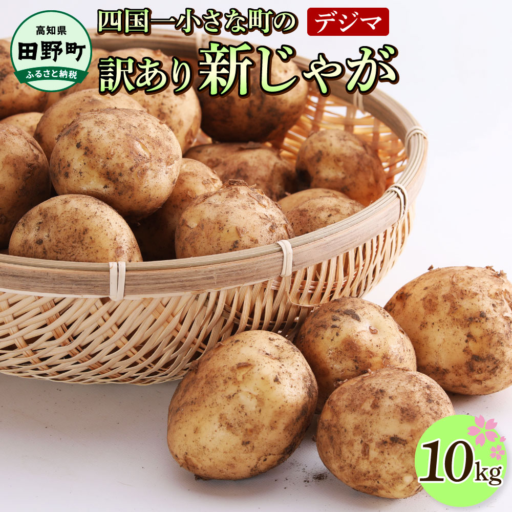 【ふるさと納税】★先行受付：2026年5月発送開始★大野台地で採れた令和8年産新じゃがいも『デジマ』10kg訳あり品 新じゃがいも デジマ じゃがいも 10キロ イモ 新じゃが ジャガイモ 芋 いも ポテト 野菜 おいしい 旬 国産 お取り寄せ 常温配送 高知県 故郷納税 13000円